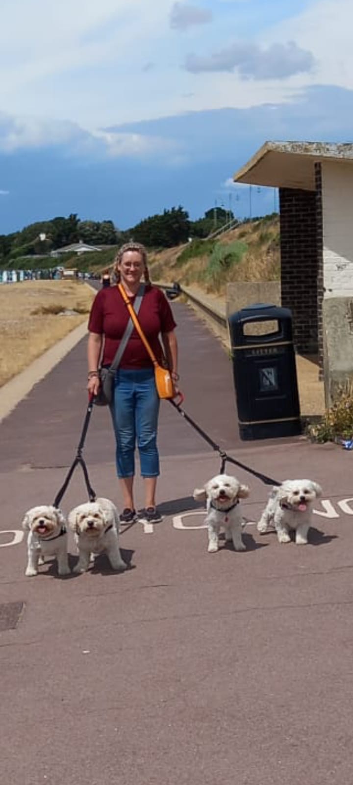 The Pawsome Hotel gallery photo