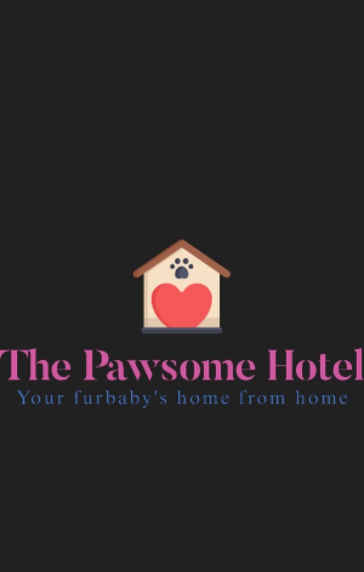The Pawsome Hotel gallery photo