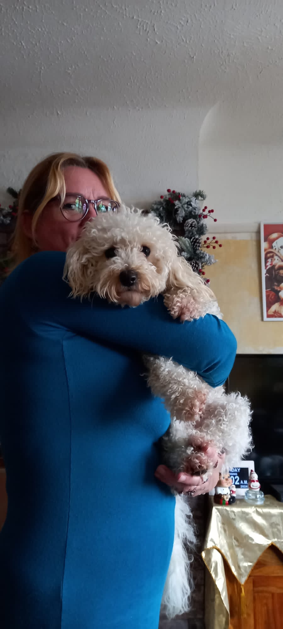 The Pawsome Hotel gallery photo